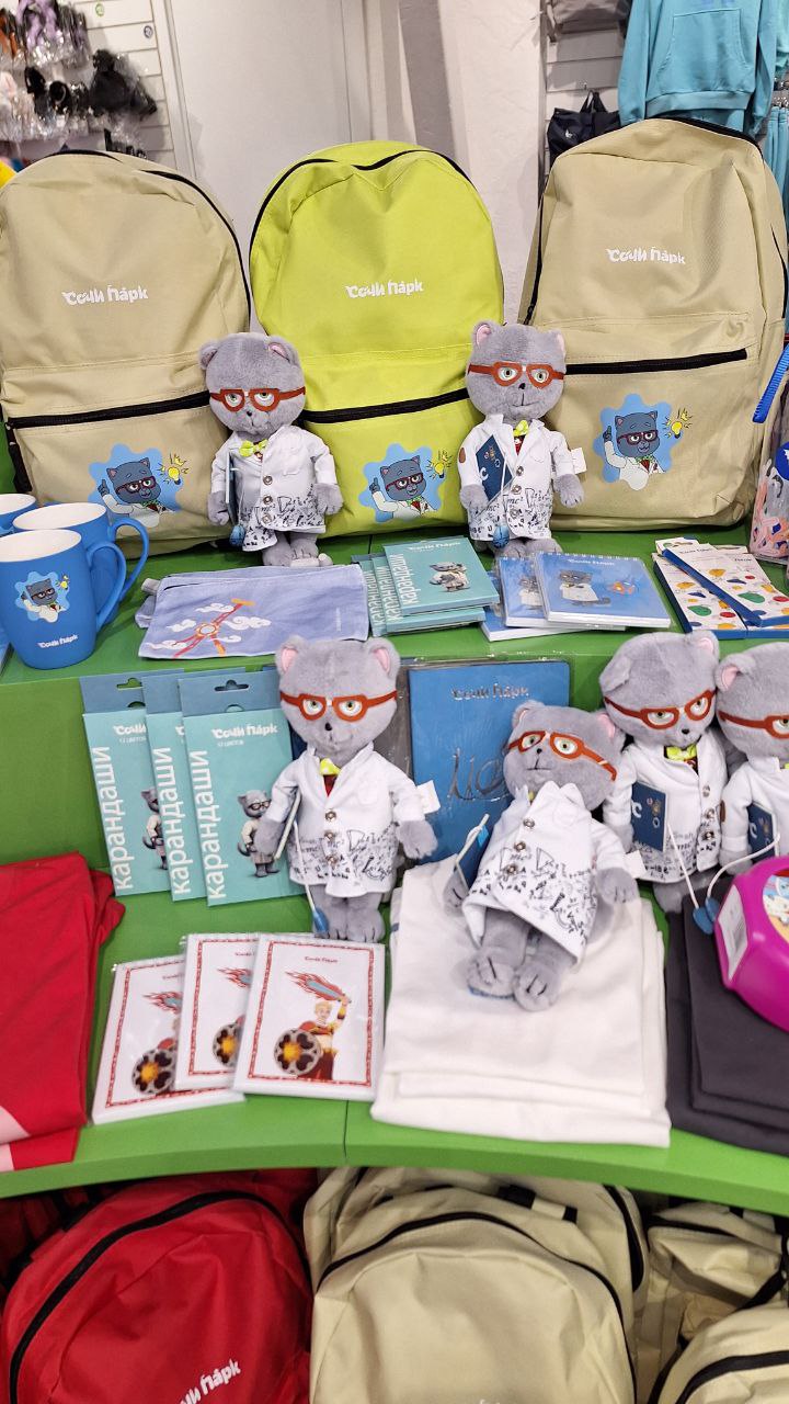 А теперь о моей мечте: сувенирке уровня Диснейленда
К сожалению, мерч в Сочипарке попал в ловушку: его героев никто не узнает. Оказывается они снимали свой сериал с героями | Сетка — социальная сеть от hh.ru