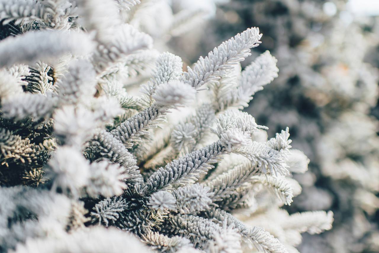 🌟Привет, дорогие друзья! ❄️
Этот год для меня волшебный, незабываемый и я с радостью делилась с вами знаниями о карьере | Сетка — социальная сеть от hh.ru