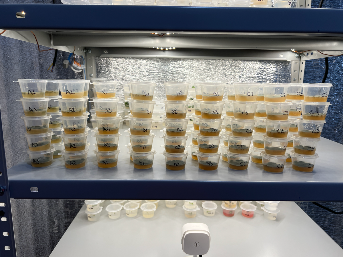 Апдейт по грибам | Сетка — социальная сеть от hh.ru