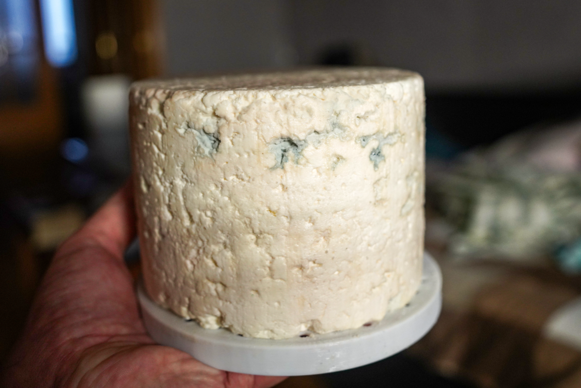 Апдейт по грибам | Сетка — социальная сеть от hh.ru