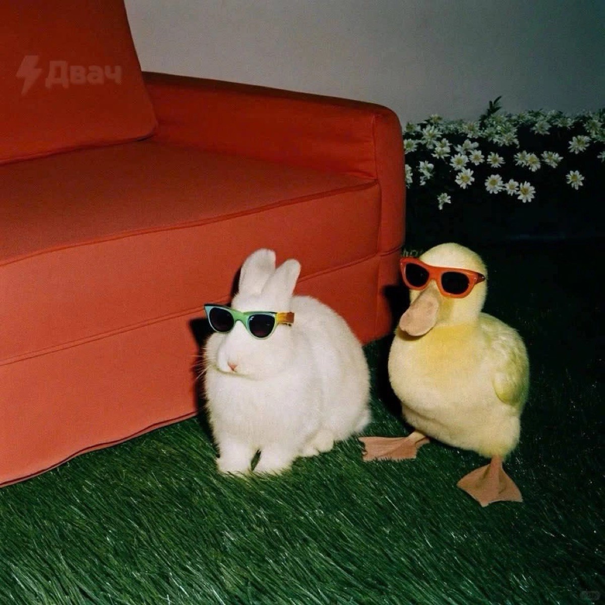 Екатерина Пряхина | Сетка — социальная сеть от hh.ru