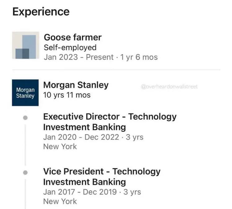 Уникализируй и усиливай свои профили: кросс-платформенность | Сетка — социальная сеть от hh.ru