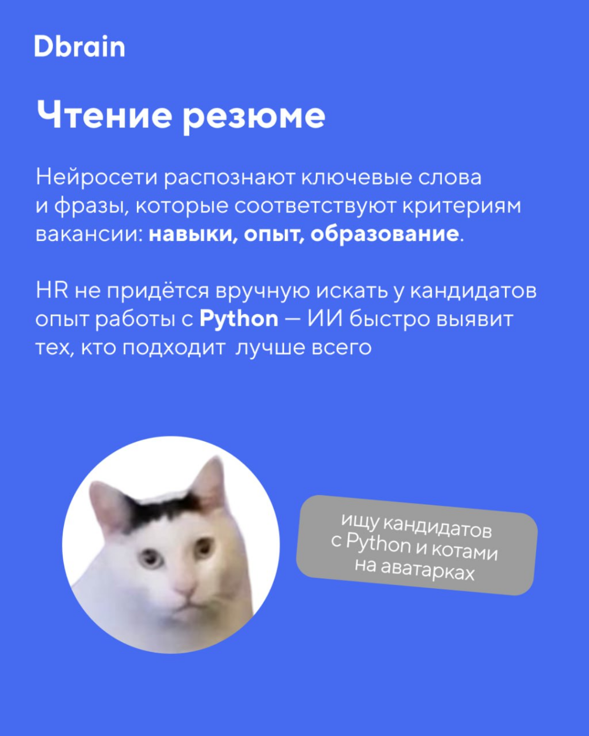 Искусственный интеллект нанял кассира в «Пятёрочку» на районе
Нет, это не завязка российской версии «Терминатора», а наша повседневная реальность | Сетка — социальная сеть от hh.ru