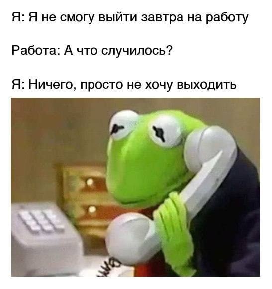 🔗 мемы в телеграм канале | Сетка — социальная сеть от hh.ru