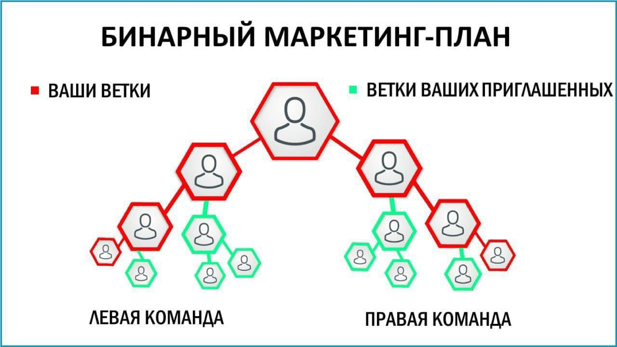 В Атоми бинарное построение структуры, развиваем всего две ветки и в этом наше преимущество перед другими компаниями👌 | Сетка — социальная сеть от hh.ru