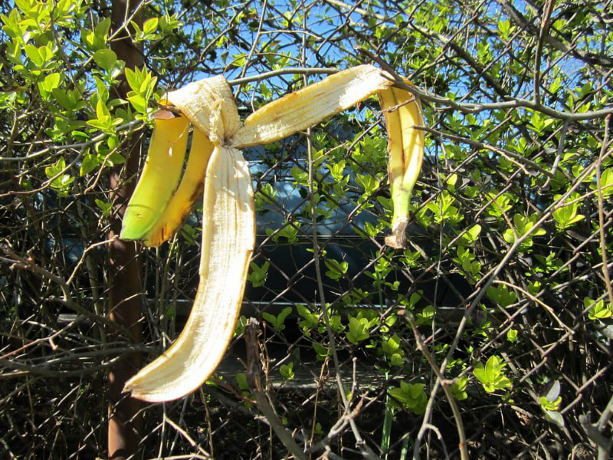 Коллективный провал: как избежать неловкости | Сетка — социальная сеть от hh.ru