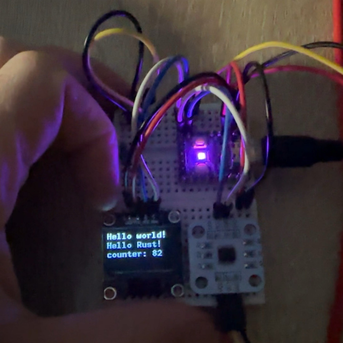 Гоша Крикун | Сетка — социальная сеть от hh.ru