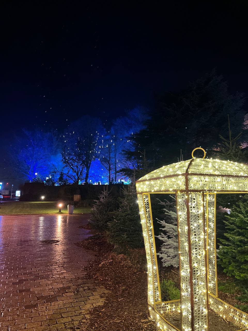 Доброе утро 🌞
Немного рождественского колорита вам в ленту 🎄из Метц | Сетка — социальная сеть от hh.ru