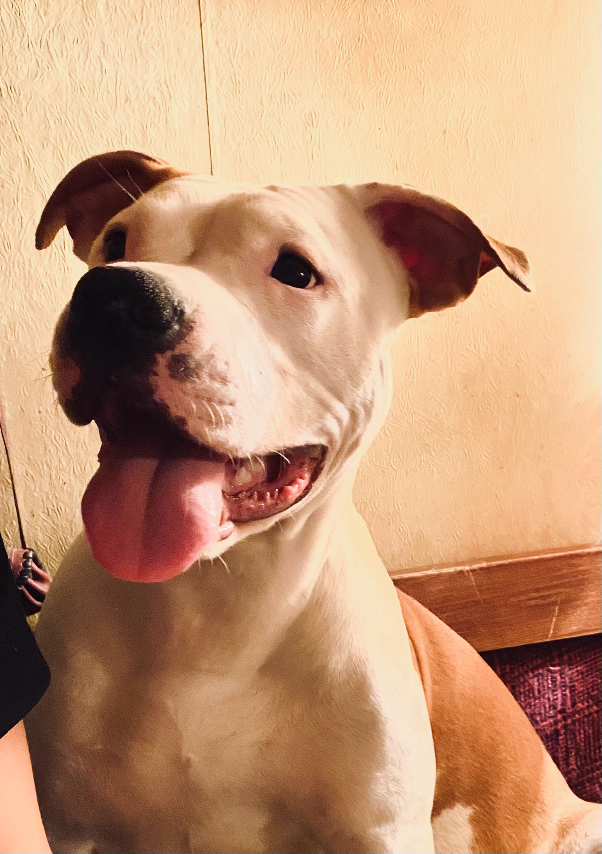 ✍️Для успешного аудита вашего отдела продаж публикую типовой  план, который поможет организовать процесс и подготовиться к серии консультаций:
Шаг 1: Подготовка к аудиту
Задачи:


Определить цели ауди... | Сетка — социальная сеть от hh.ru