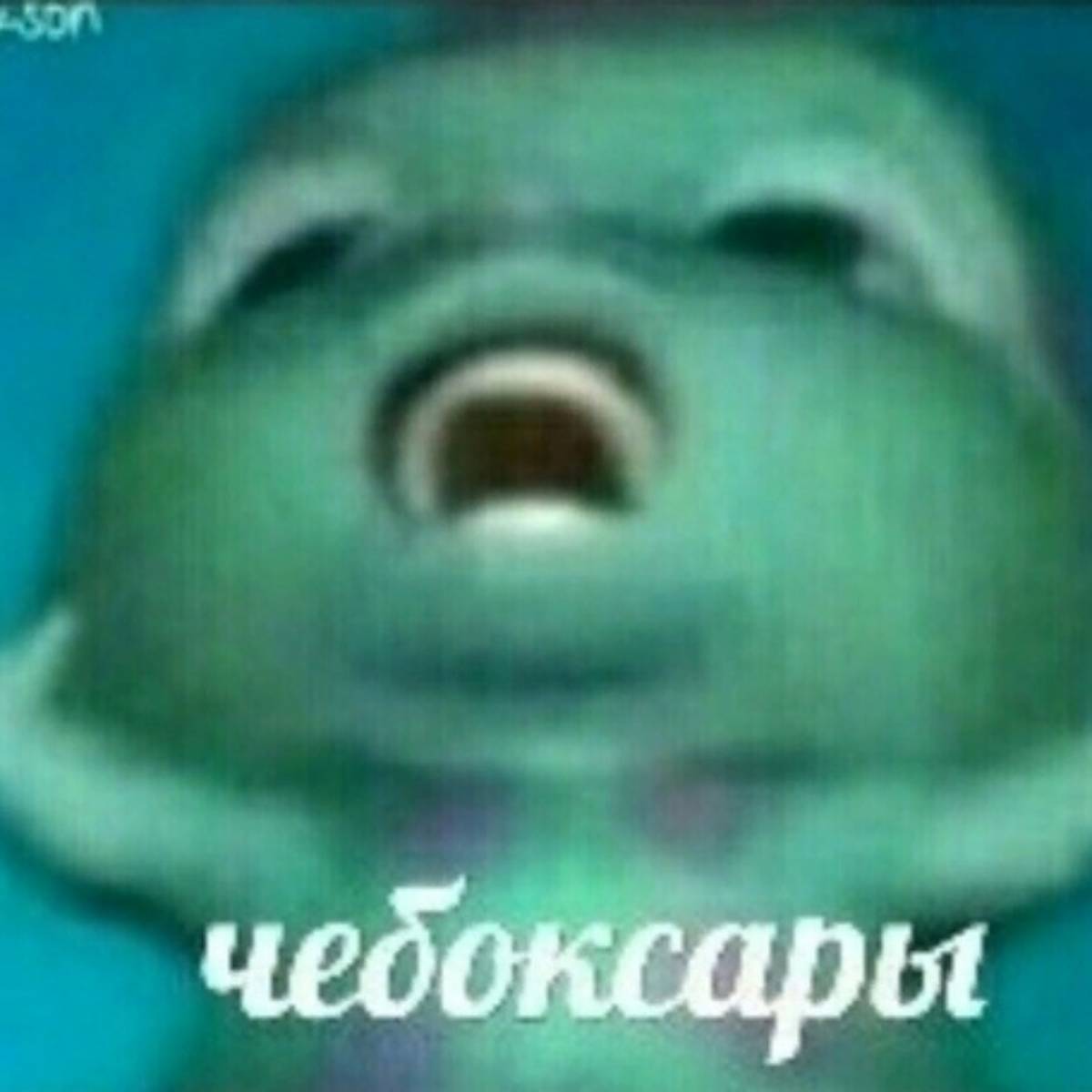 Денис Плотников | Сетка — социальная сеть от hh.ru