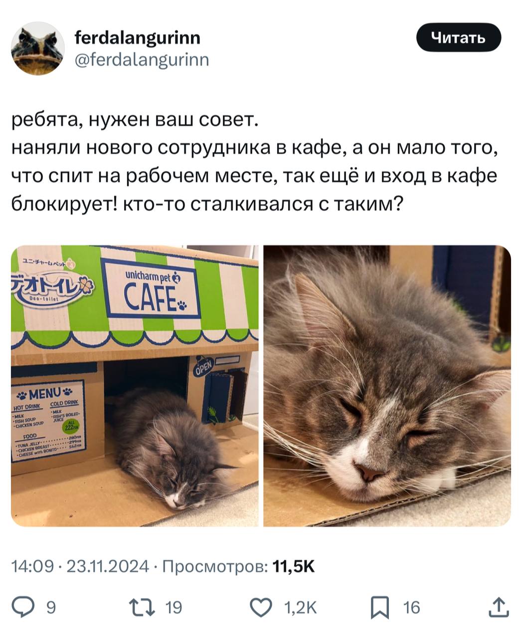 Просто котик уже вырос из этой должности 😆
Ставьте 👍, если за повышение пушистого.
#HR #Humanconf #юмор | Сетка — социальная сеть от hh.ru