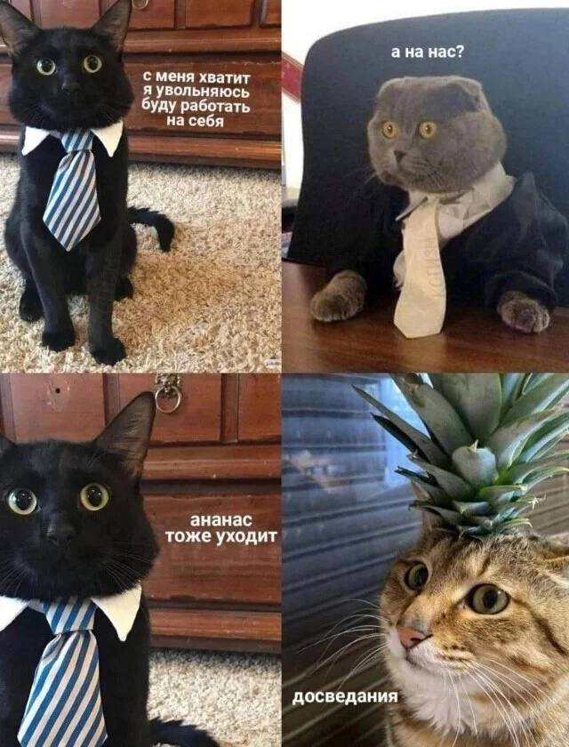 #career
#life | Сетка — социальная сеть от hh.ru