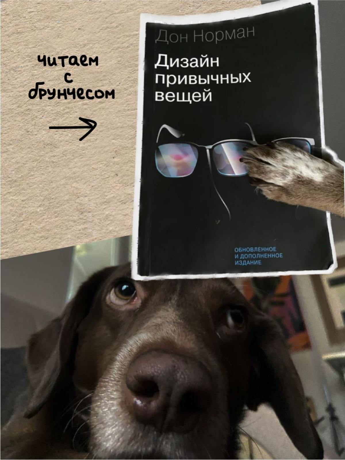 Столько идей, как сделать вещи проще и удобнее! Теперь рассуждаем с Брунчесом: он за миски с автоподачей, а я — за интерфейсы с душой. | Сетка — социальная сеть от hh.ru