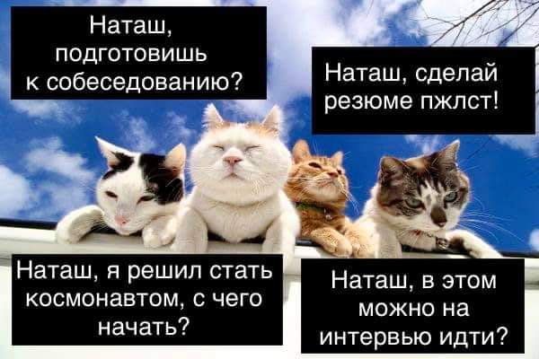 Жизнь - боль) | Сетка — социальная сеть от hh.ru