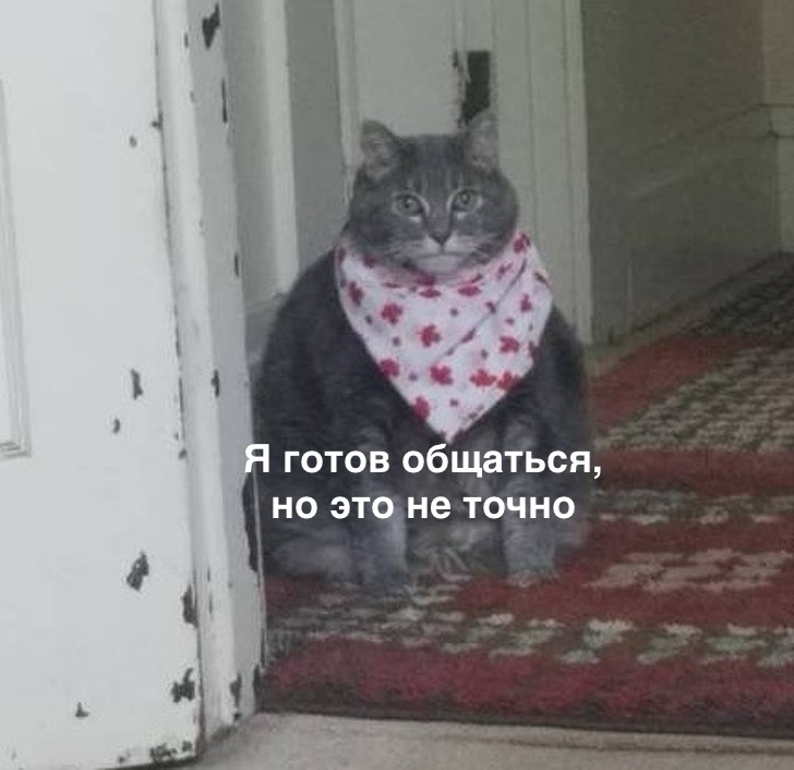 Пост знакомство / предложение к сотрудничеству 🍔
Меня зовут Настя, работаю в команде партнерского маркетинга стран СНГ. С командой выводим Яндекс Еду на новый уровень в странах - соседях | Сетка — социальная сеть от hh.ru