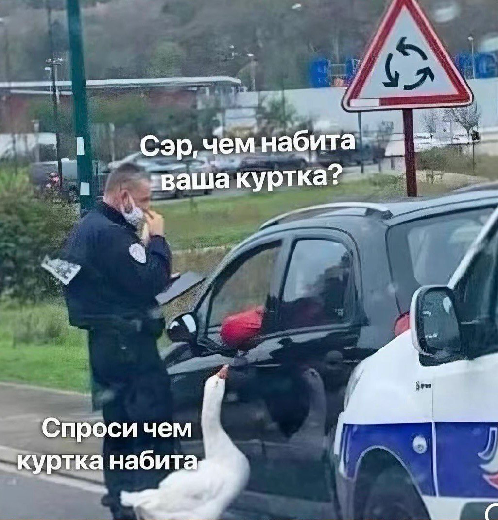 😂 спроси чем куртка набита 👍
Алёгараж 👉 https://t.me/hellogarag
#мемы #мемасики | Сетка — социальная сеть от hh.ru