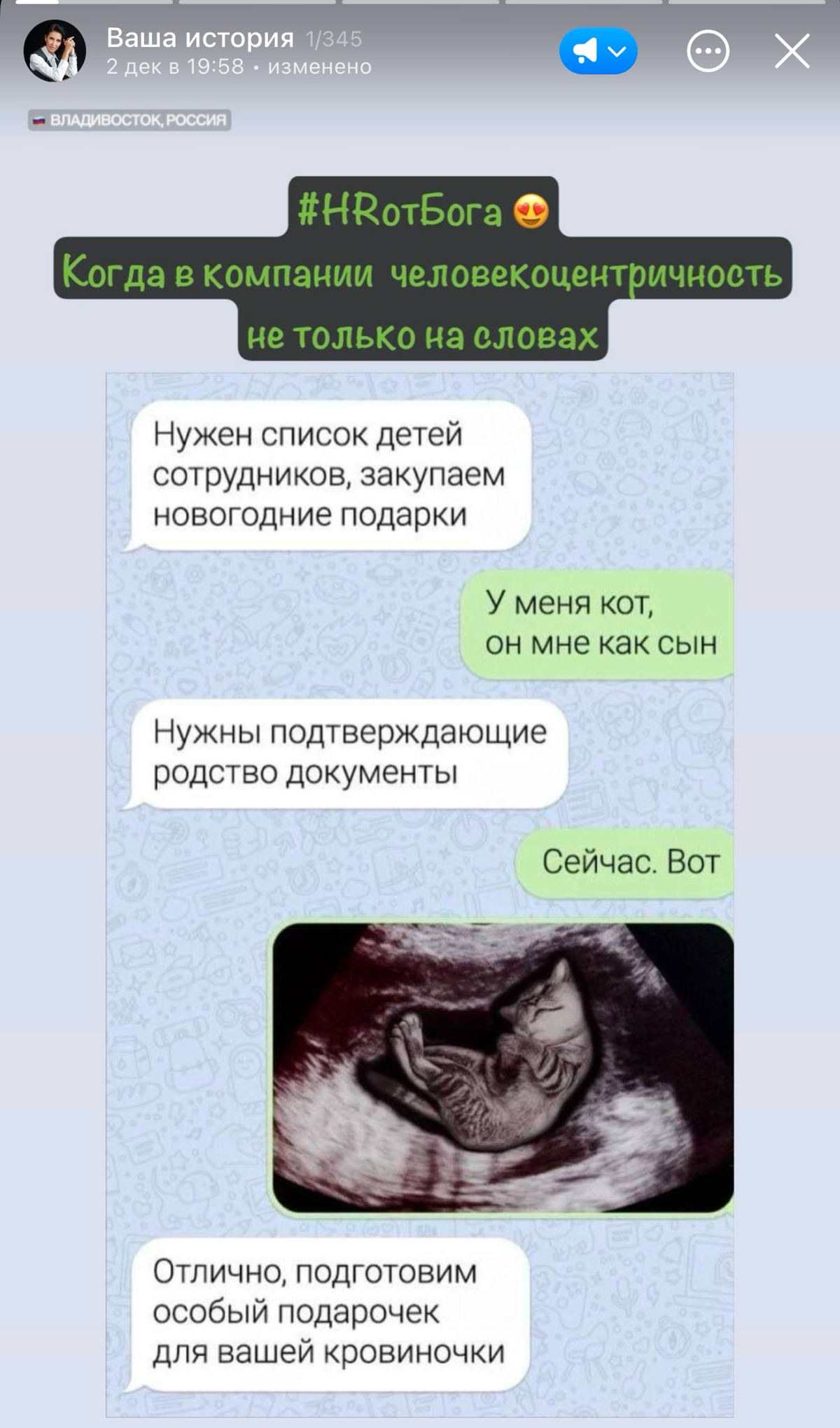 Мои любимый мем про котиков, и про Новый год! :)) | Сетка — социальная сеть от hh.ru