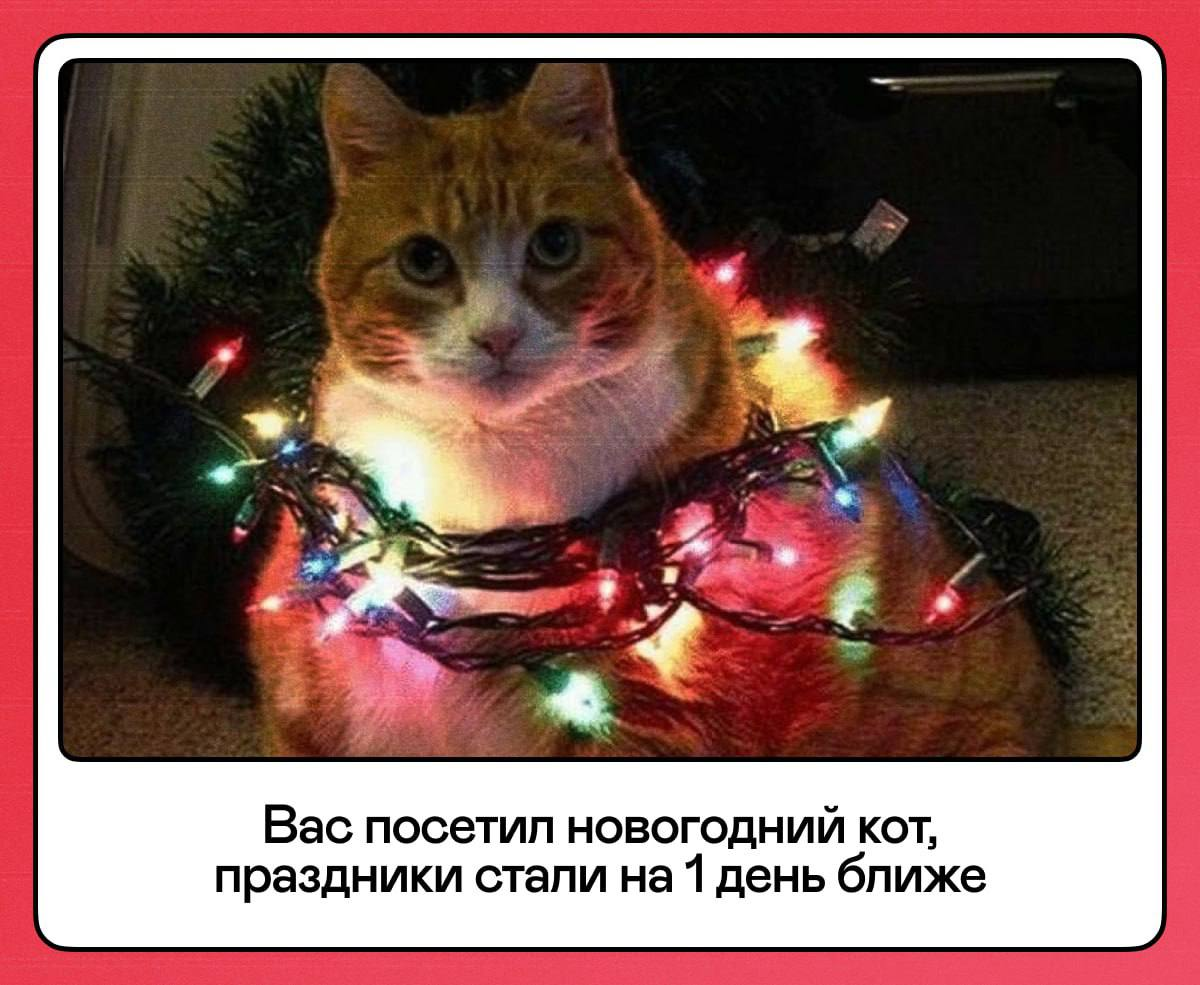 Каждая ваша реакция под этим постом приближает новогодние каникулы 🎄 | Сетка — социальная сеть от hh.ru