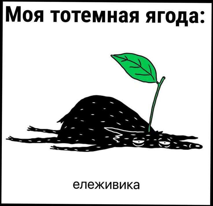 Сетка — социальная сеть от hh.ru