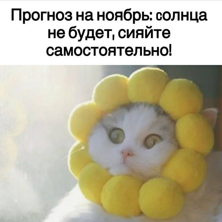 Уже на декабрь 😁👍 https://t.me/hellogarag | Сетка — социальная сеть от hh.ru
