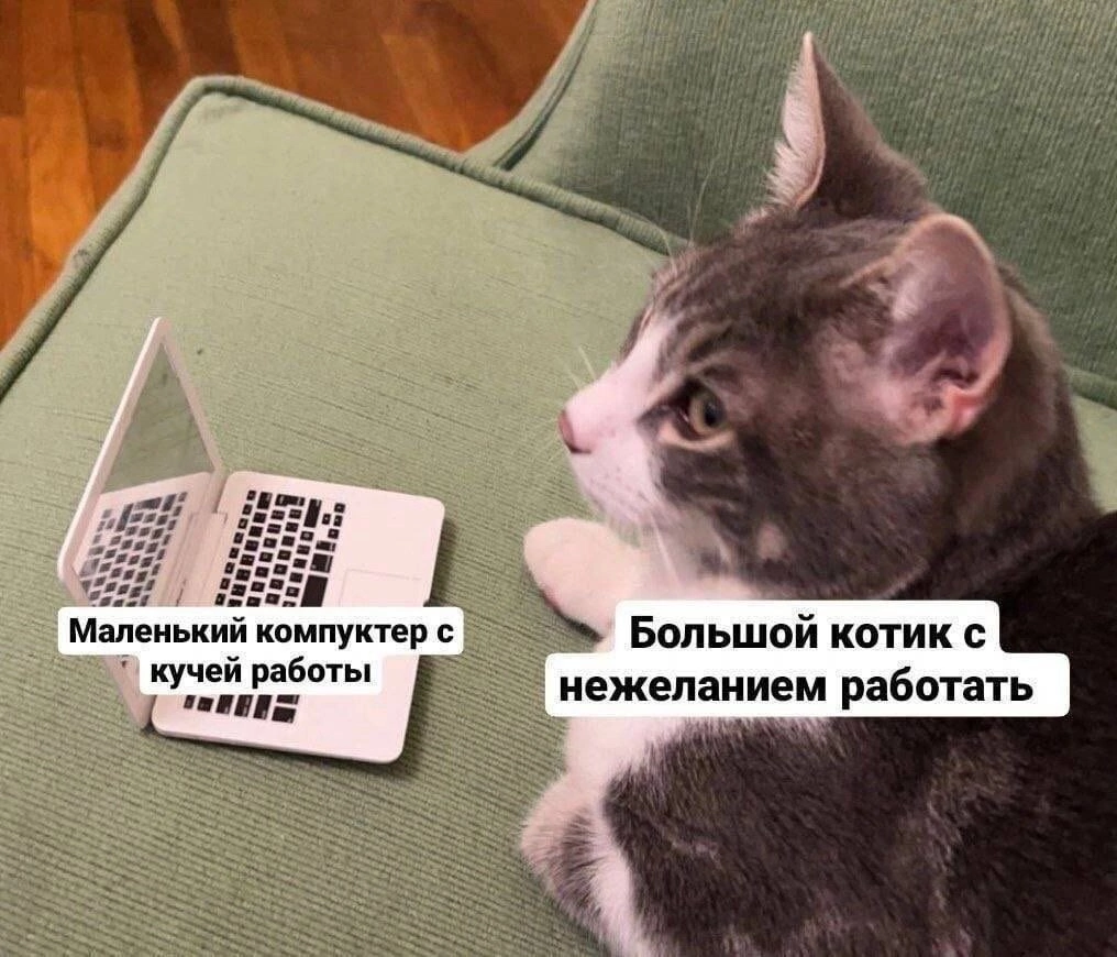 Узнал себя? | Сетка — социальная сеть от hh.ru