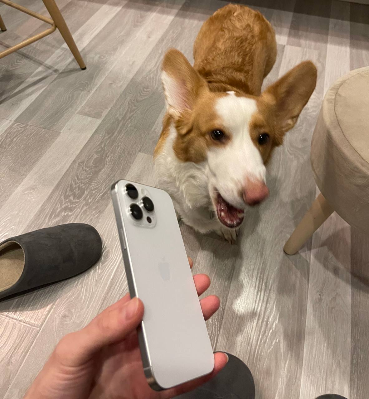 Купил Iphone 16 pro max
Чисто прикупил маркетинг и красивый белый цвет за 140 000
И самое главное — я рад!
Очень красиво, приятно и стильно, а технические характеристики не всрались никому — эпоха гик... | Сетка — социальная сеть от hh.ru