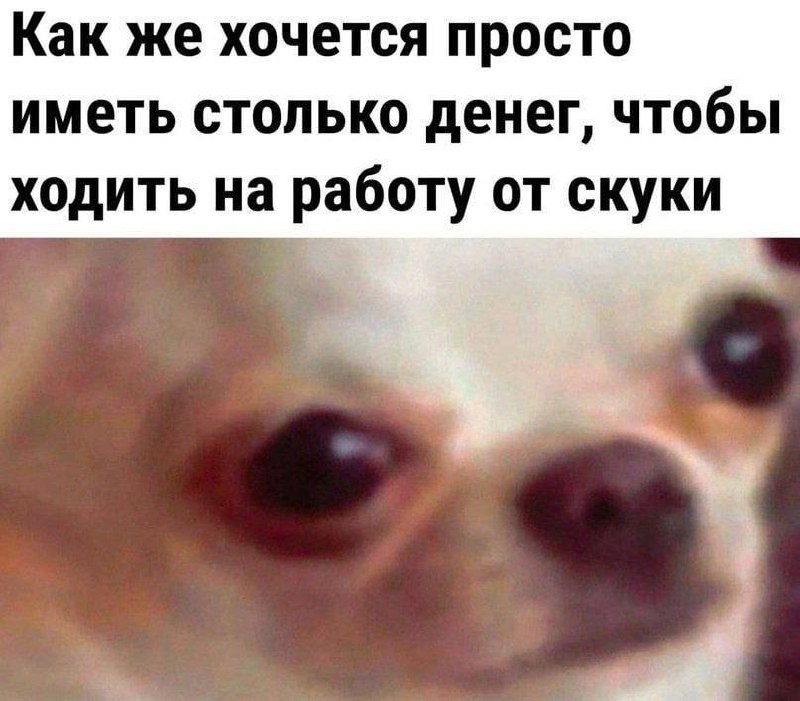 ➡️ отправь в телеге мем коллеге | Сетка — социальная сеть от hh.ru