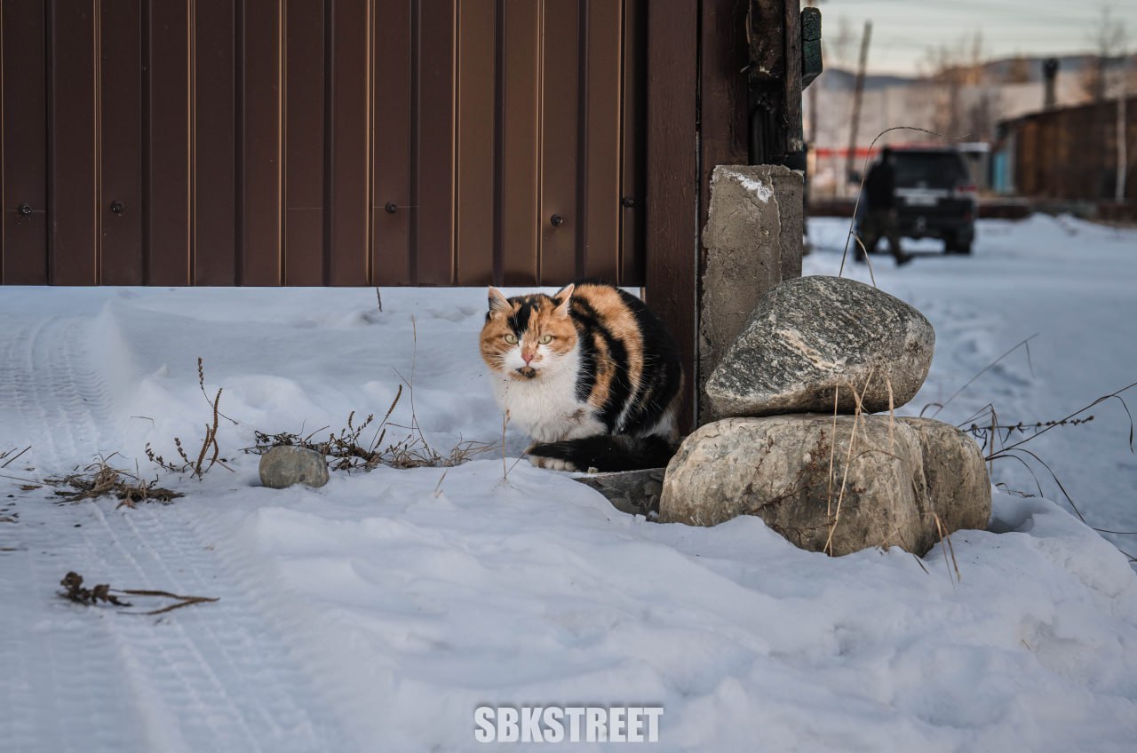 ❤️ sbkstreet | 🔵дать буст каналу | Сетка — социальная сеть от hh.ru