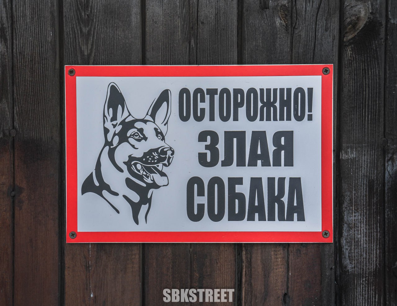 А все потому что реакции не ставите 😿 | Сетка — социальная сеть от hh.ru