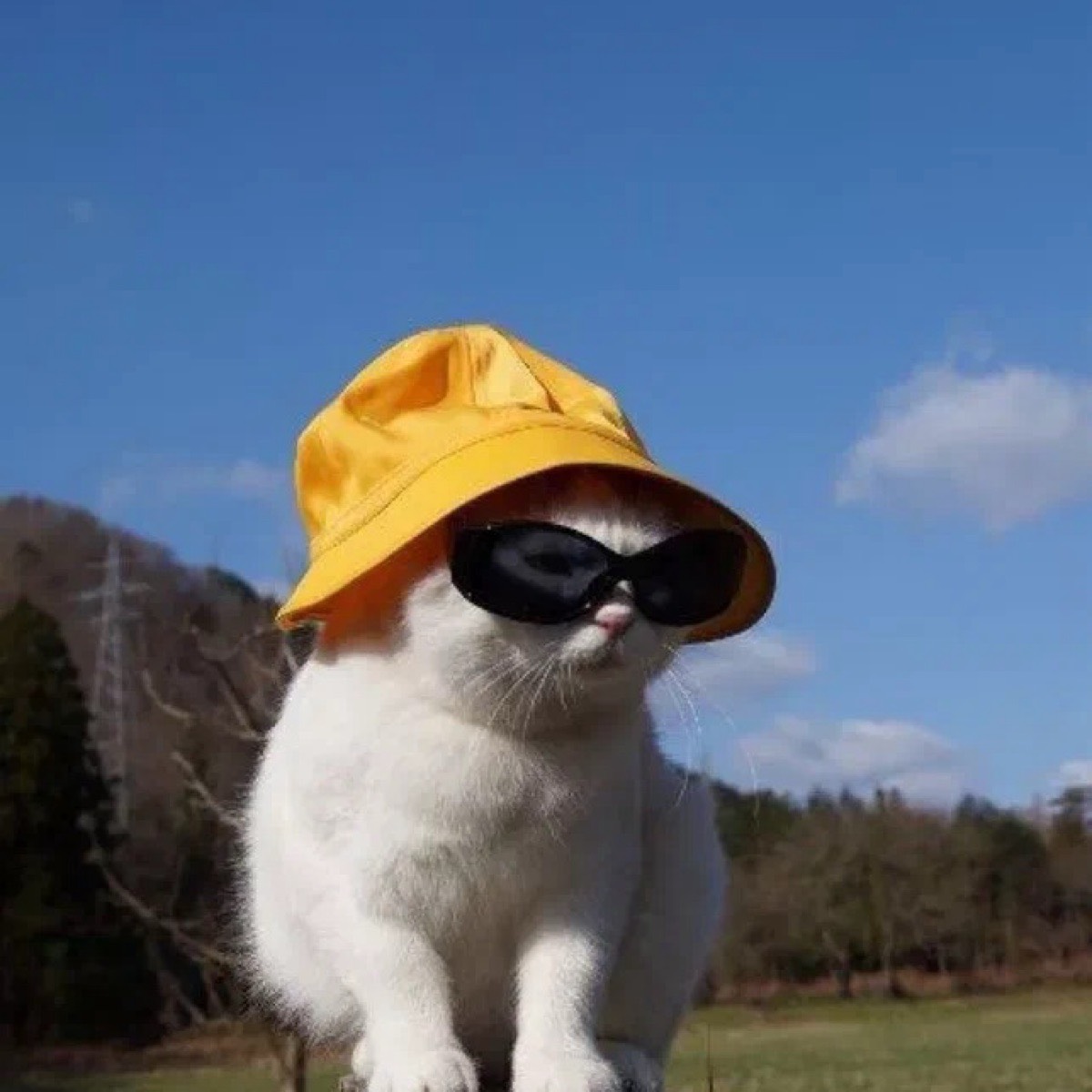 Мария Cтарикова