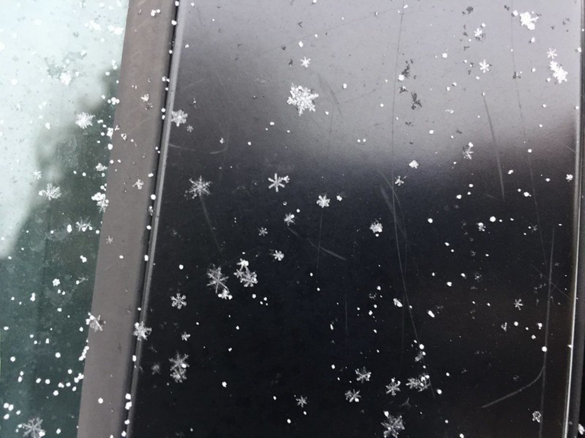 Каждый третий одинок: как живется в обществе нарциссизма | Сетка — социальная сеть от hh.ru