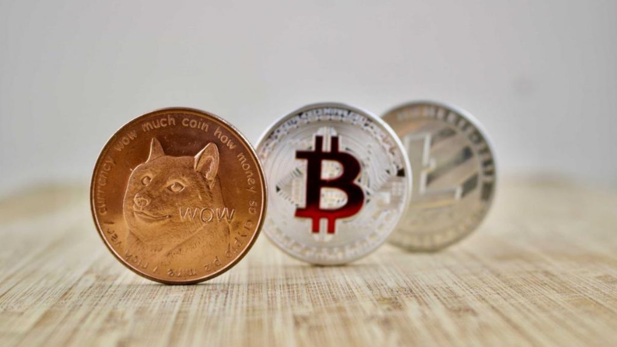 Dogecoin и Litecoin майнить в три раза выгоднее, чем биткоины | Сетка — социальная сеть от hh.ru