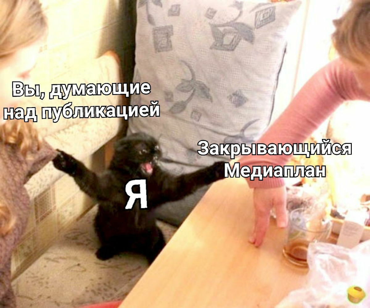 Хотите напомнить о деньгах — напоминайте мемами | Сетка — социальная сеть от hh.ru