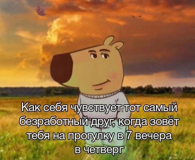 ➡️ отправь в телеге мем коллеге | Сетка — социальная сеть от hh.ru