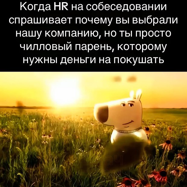 А еще никак не могу я понять эти мемы про чилового парня. Нужна пояснительная бригада.
Или люди теперь деляться на: "бу! испугался?" и .. | Сетка — социальная сеть от hh.ru