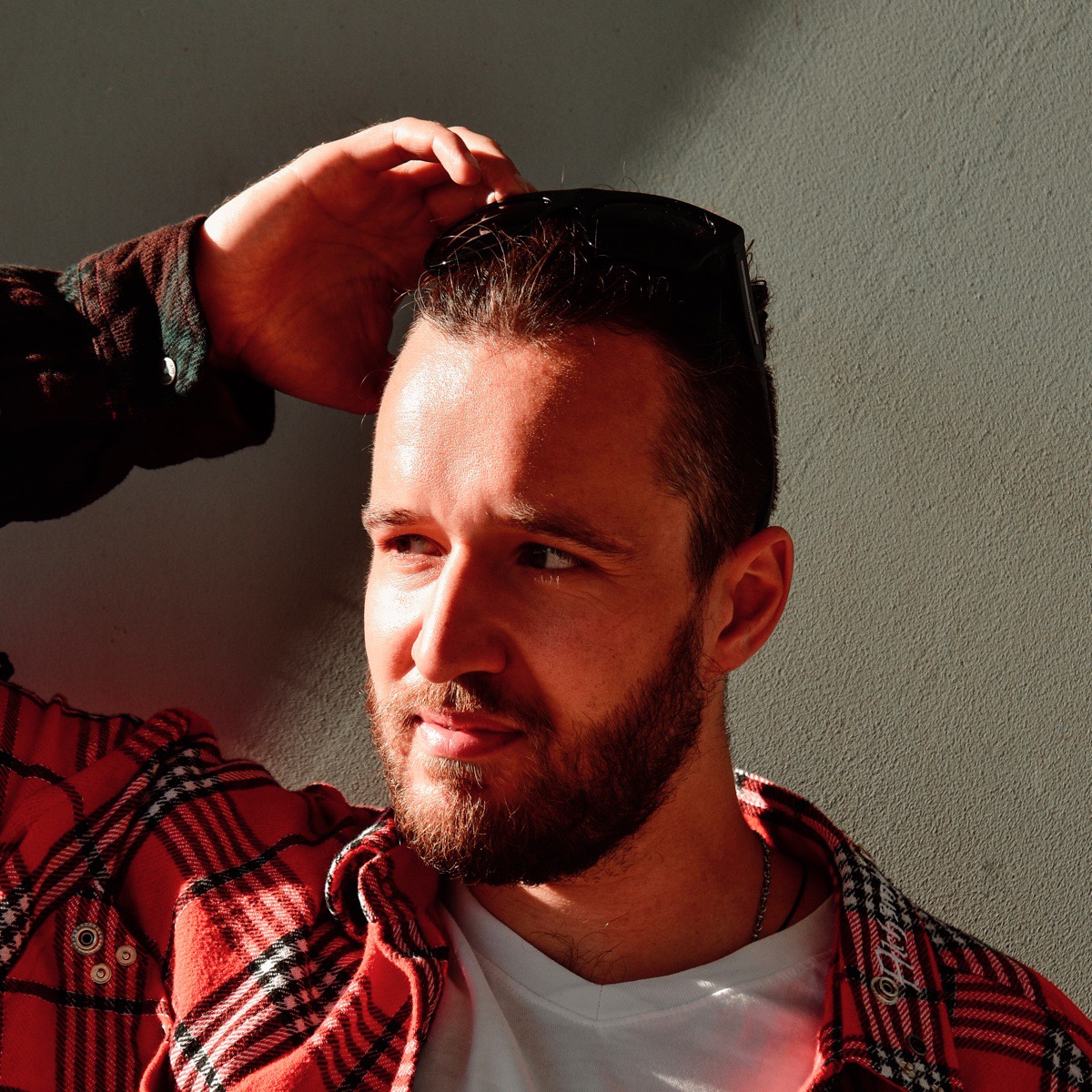 Николай Петросян