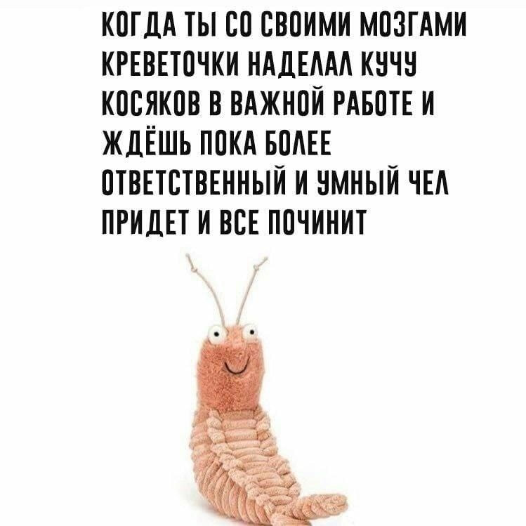 ➡️ отправь в телеге мем коллеге | Сетка — социальная сеть от hh.ru
