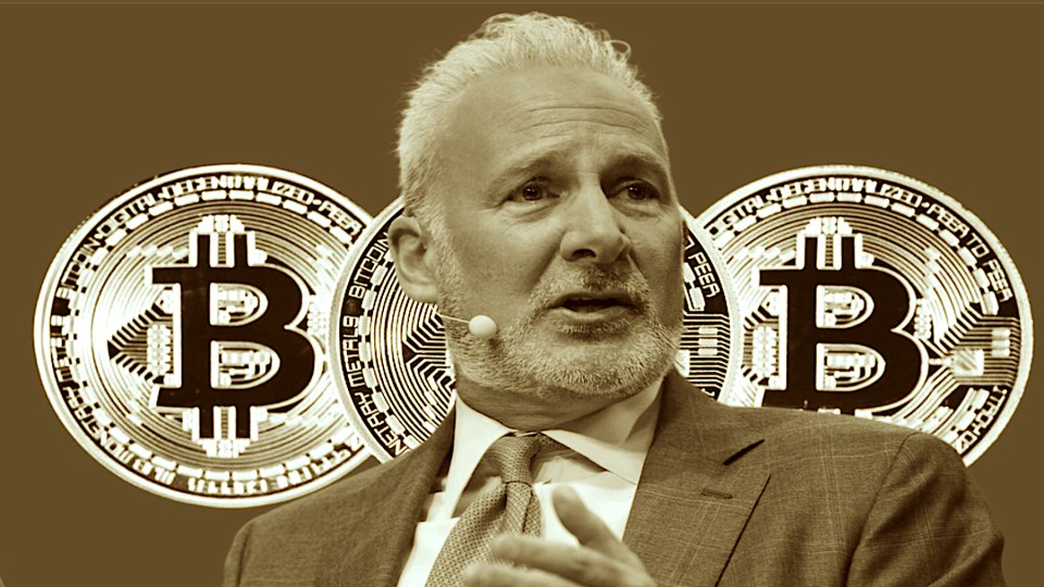 Питер Шифф связал биткоин по $100 000 с последствиями политических интриг | Сетка — социальная сеть от hh.ru
