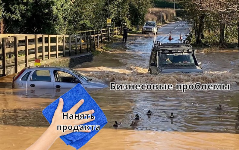 Пятничный #мем | Сетка — социальная сеть от hh.ru