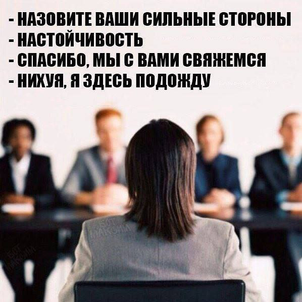 Сетка — социальная сеть от hh.ru