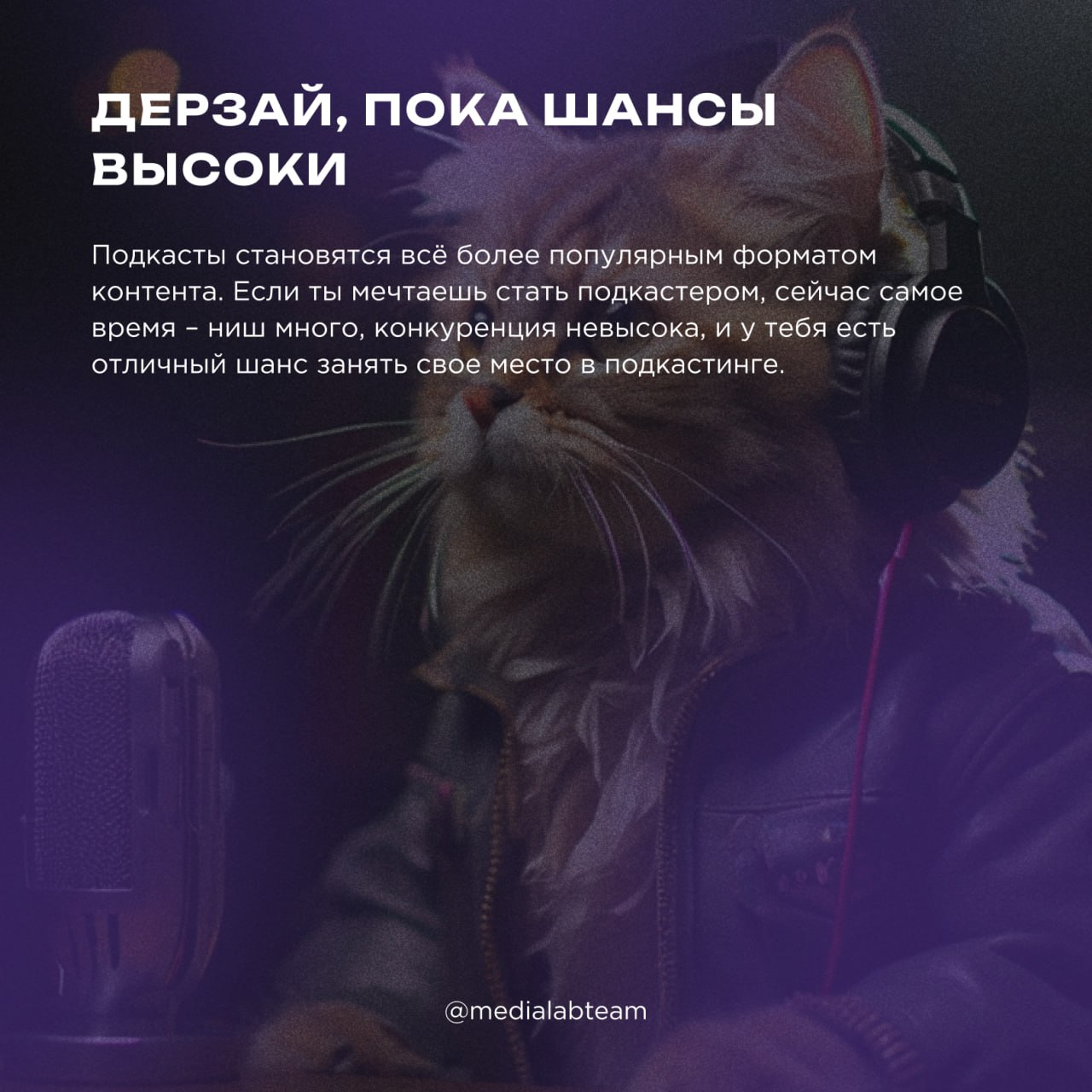 🎧 Подкасты — это аудиоконтент, доступный для прослушивания в любое время. Тематика подкастов разнообразна, выбор — на любой вкус и цвет | Сетка — социальная сеть от hh.ru