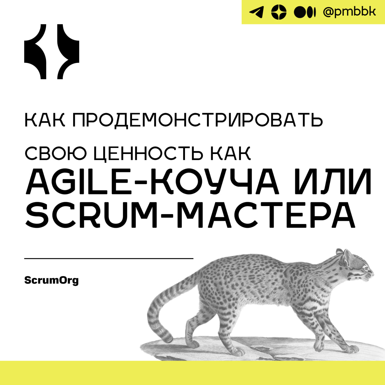 ⭐️ Как продемонстрировать свою ценность как Agile-коуча или Scrum-мастераНедавно я разговаривал с человеком, чья организация убрала всех своих Agile коучей и Scrum мастеров | Сетка — социальная сеть от hh.ru