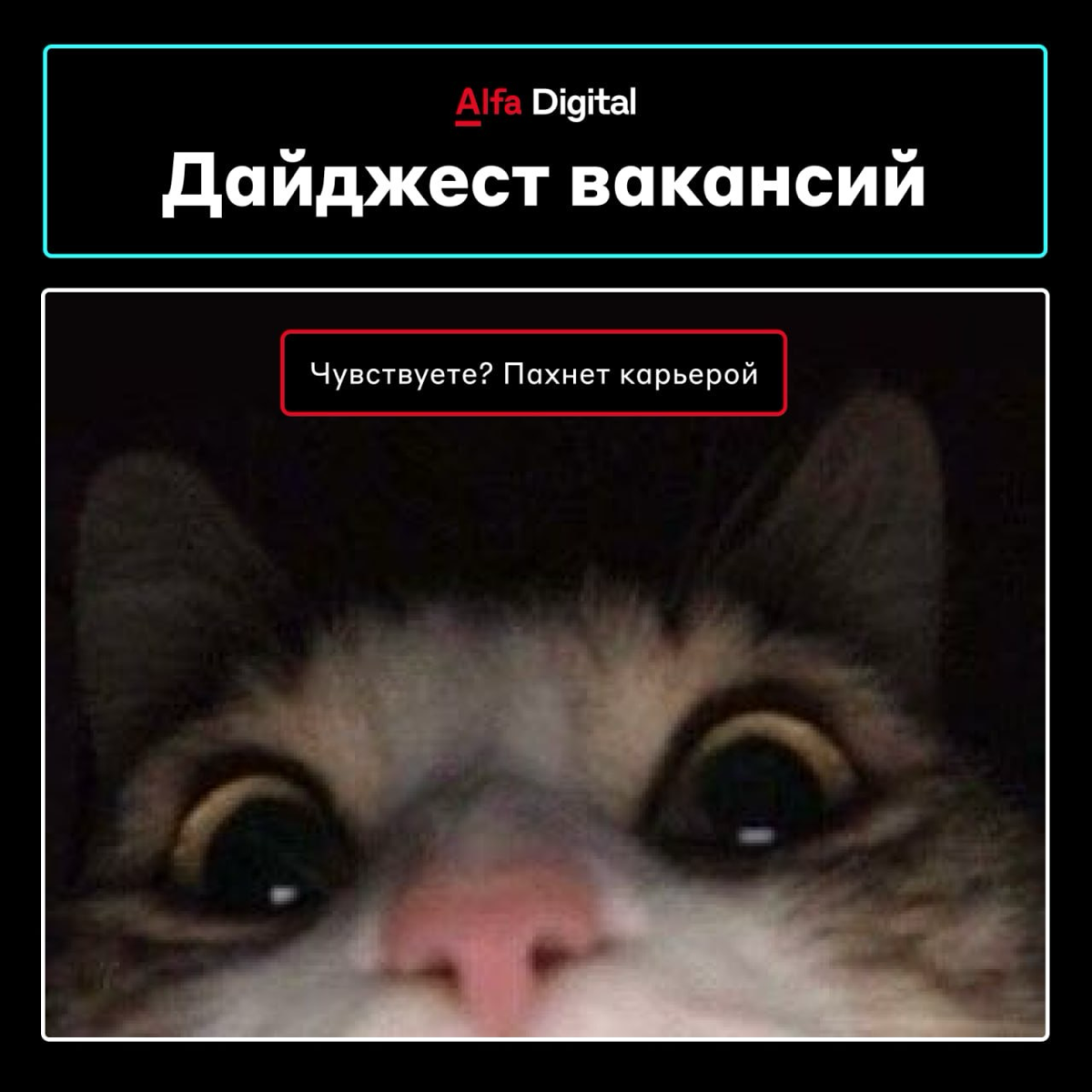 Новые вакансии 🥂
🔴 Системный аналитик — откликнуться

🔴 Аналитик 1С — откликнуться

🔴 DevOps — откликнуться

🔴 Руководитель проектов — откликнуться

🔴 Дизайнер цифровых продуктов — откликнуться

#вака... | Сетка — социальная сеть от hh.ru