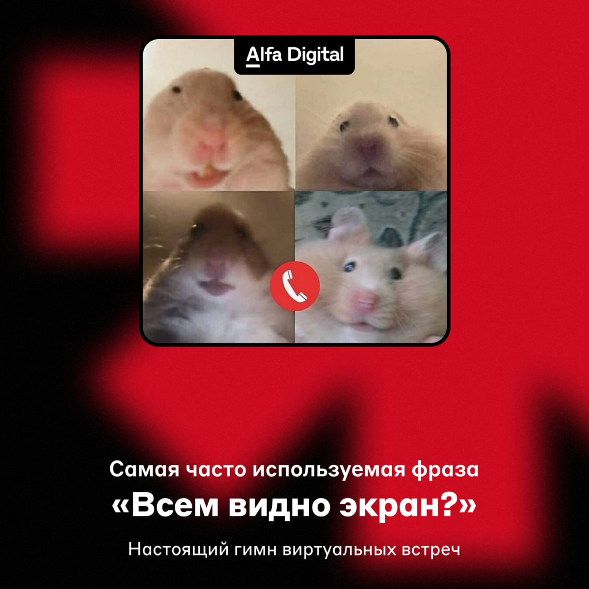 9 462 нажатия на кнопку Enter ➕
Пока все делятся музыкальными итогами, мы подсчитали, сколько всего успели сделать коллеги из IT и Digital. Уже собрали всё в карточки.
#фан #alfadigital | Сетка — социальная сеть от hh.ru
