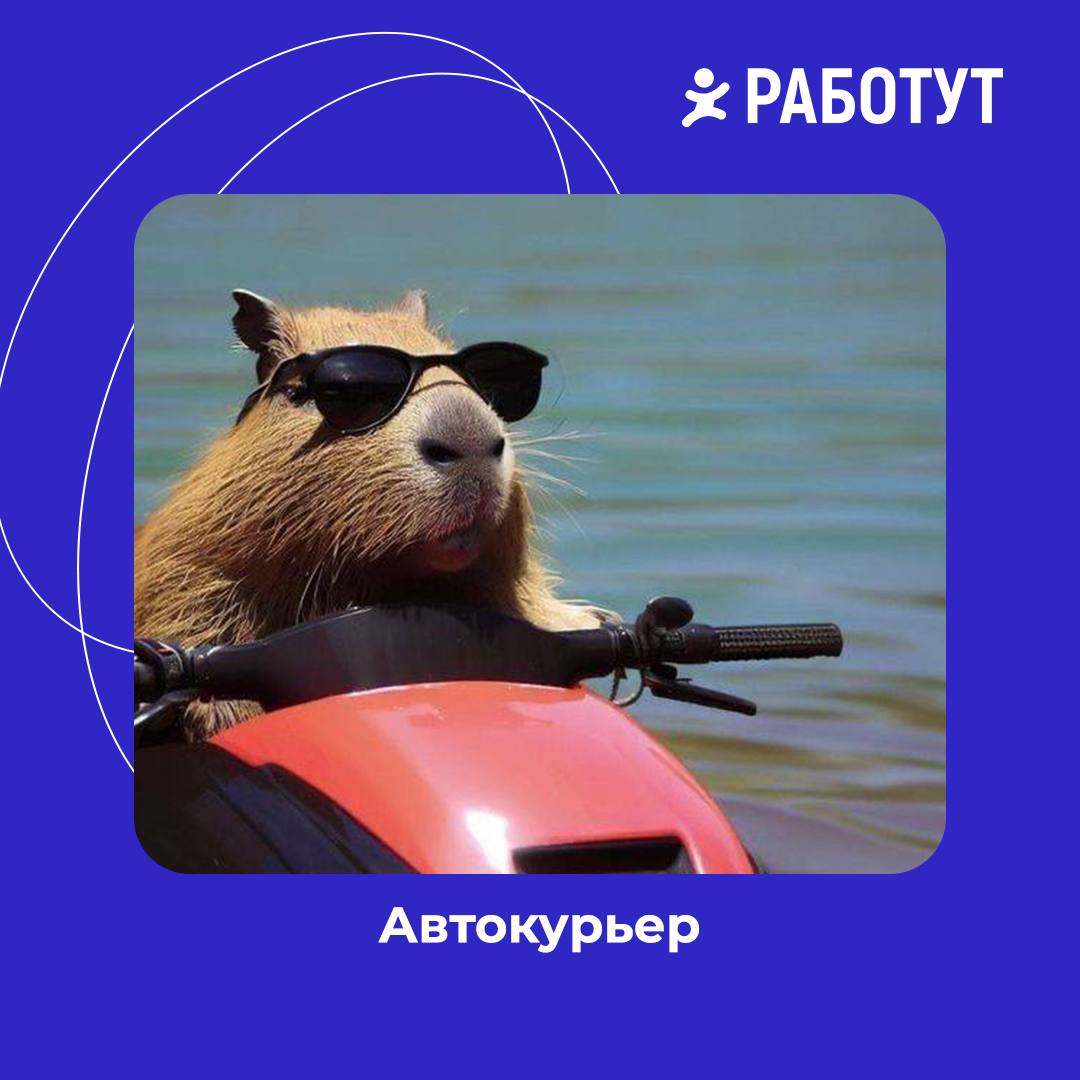 Виды курьеров в Работут!
Как думаешь, какой вид встречается чаще всего?😄 | Сетка — социальная сеть от hh.ru
