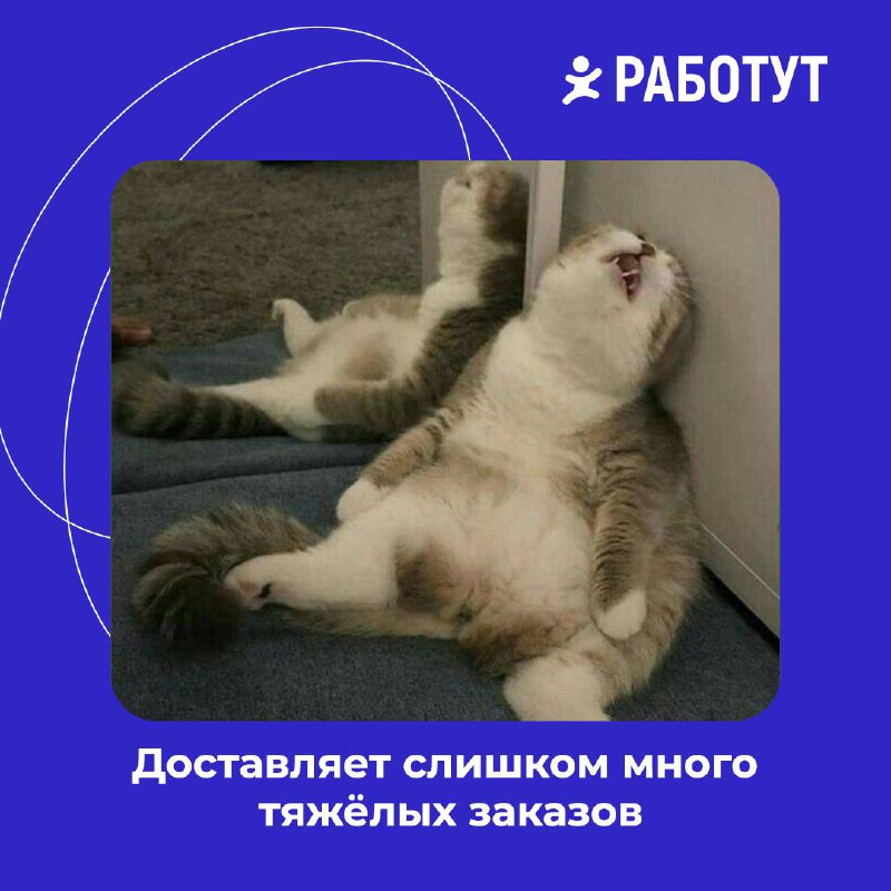 Виды курьеров в Работут!
Как думаешь, какой вид встречается чаще всего?😄 | Сетка — социальная сеть от hh.ru