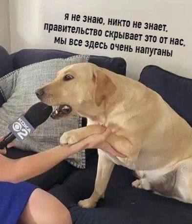 Ой случайно две одинаковые картинки скинул | Сетка — социальная сеть от hh.ru