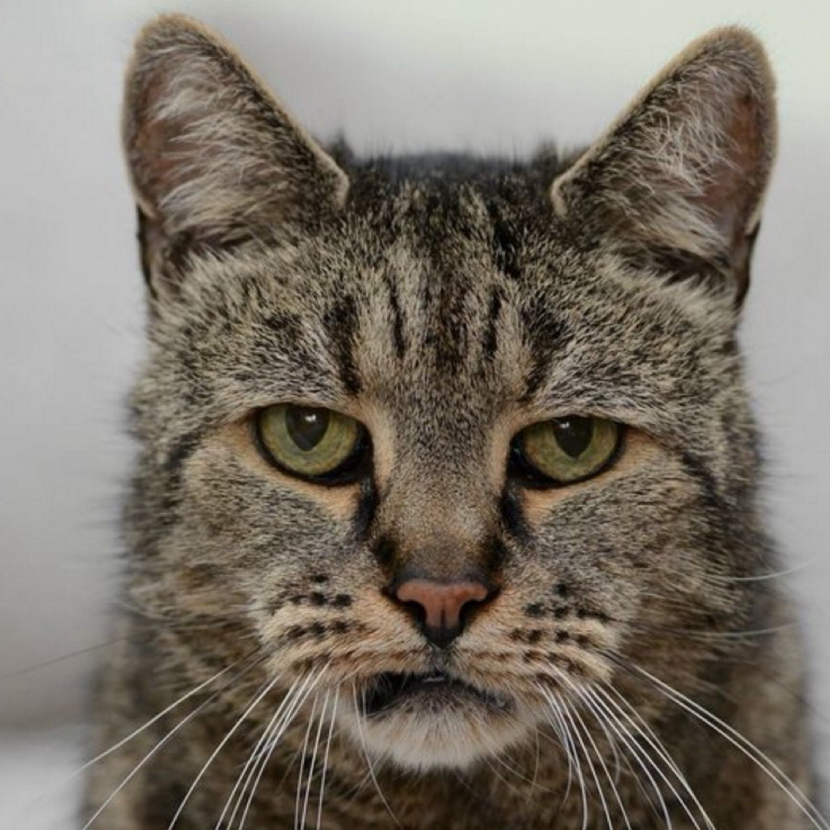 Алексей Горбунов | Сетка — социальная сеть от hh.ru