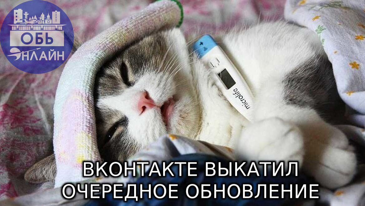 ↗ ВКонтакте приболел, но разработчики божатся, что это фича
Социальная сеть решила частично обновить интерфейс, а заодно ввести ряд ограничений авторам публикаций | Сетка — социальная сеть от hh.ru