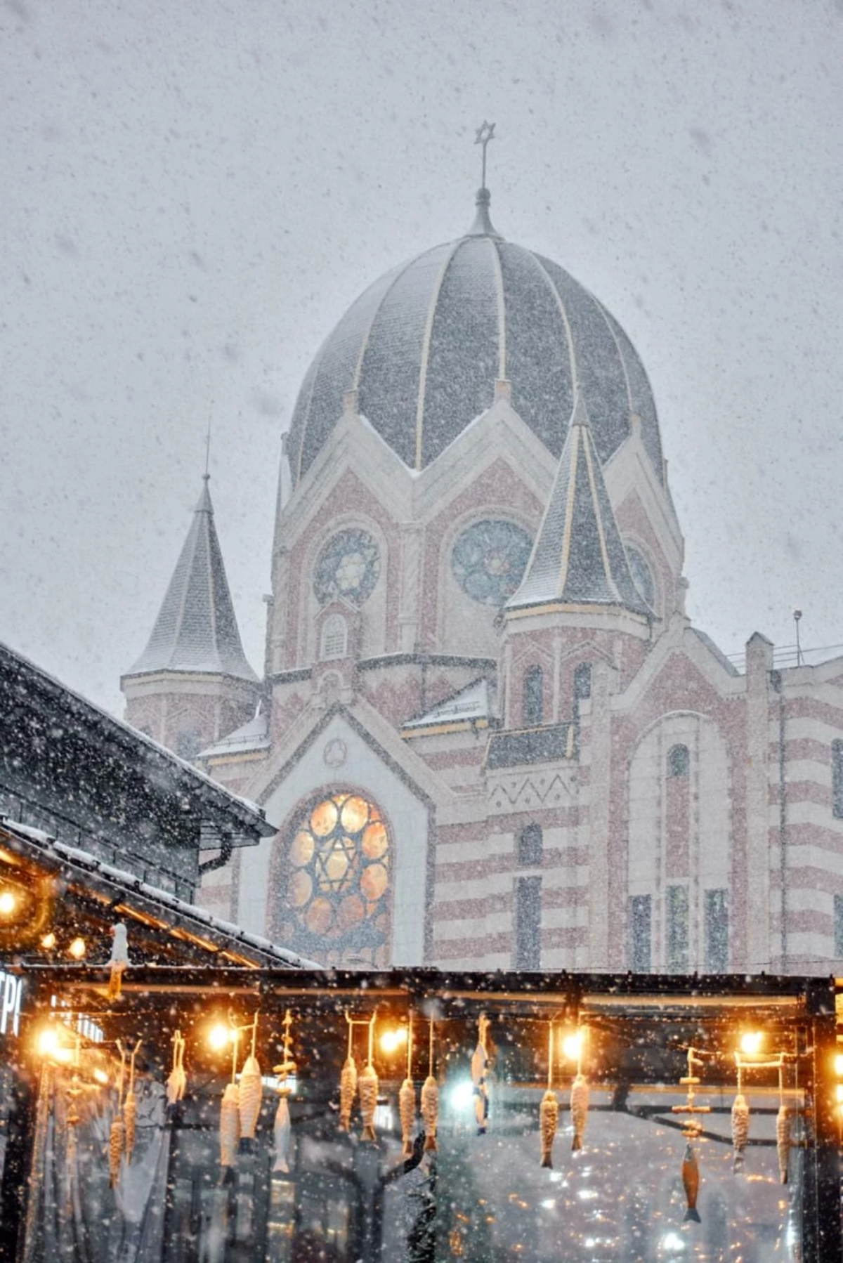 Зимний снежный Калининград ❄️
#фотографии | Сетка — социальная сеть от hh.ru